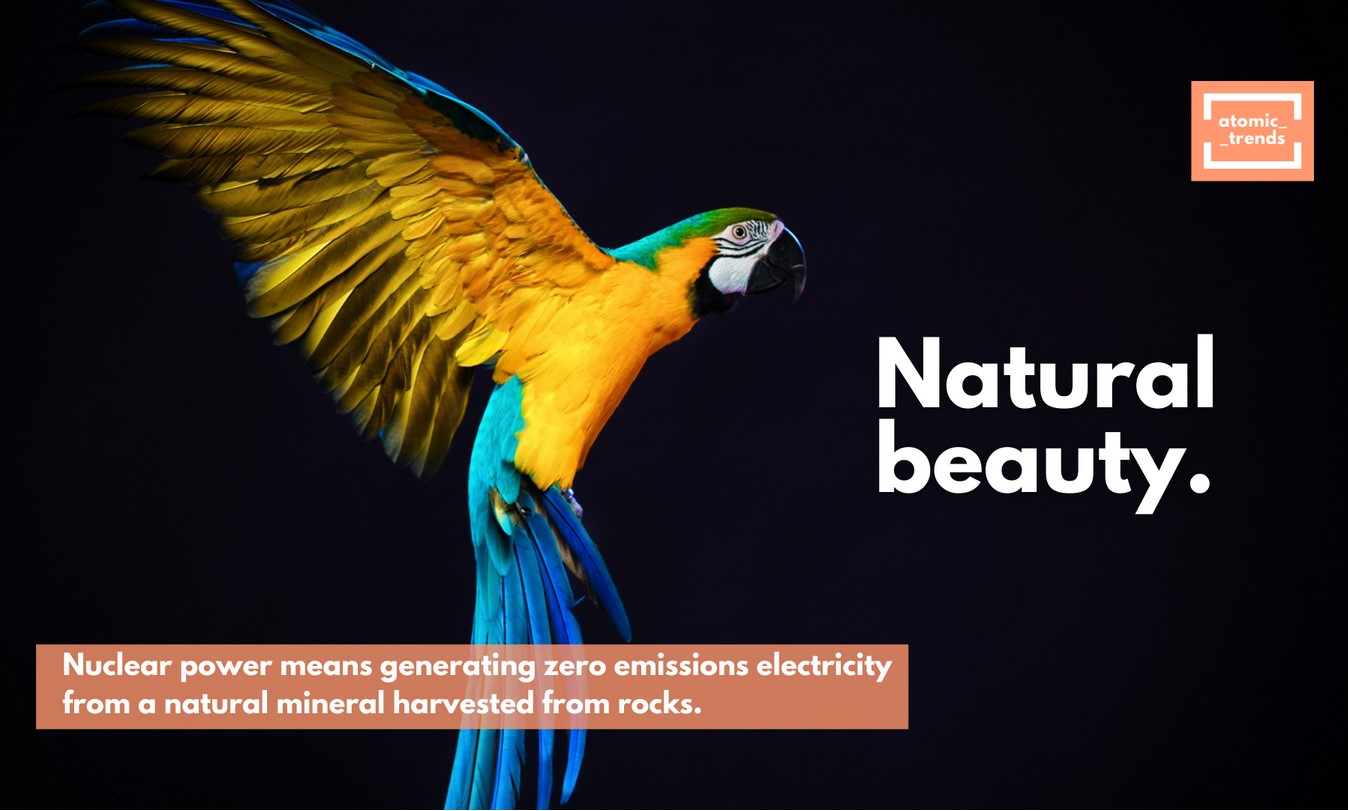 Where has the reactor gone?